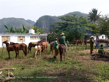 2004 Cuba, Maria la Gorda - Cayo Levisa, DSC00600 B_B720